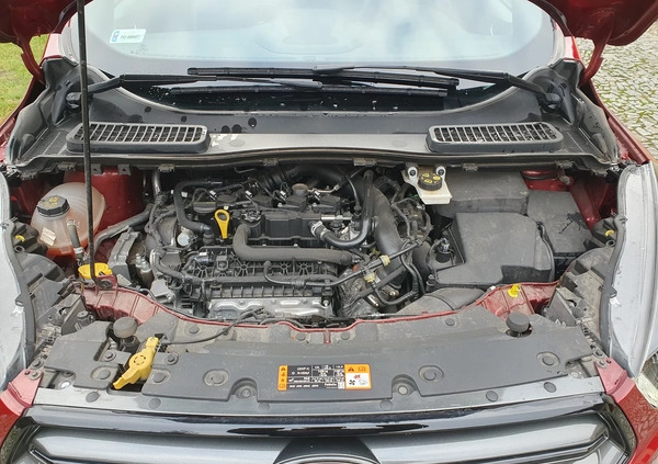 Ford Kuga cena 94500 przebieg: 31255, rok produkcji 2019 z Szamotuły małe 232